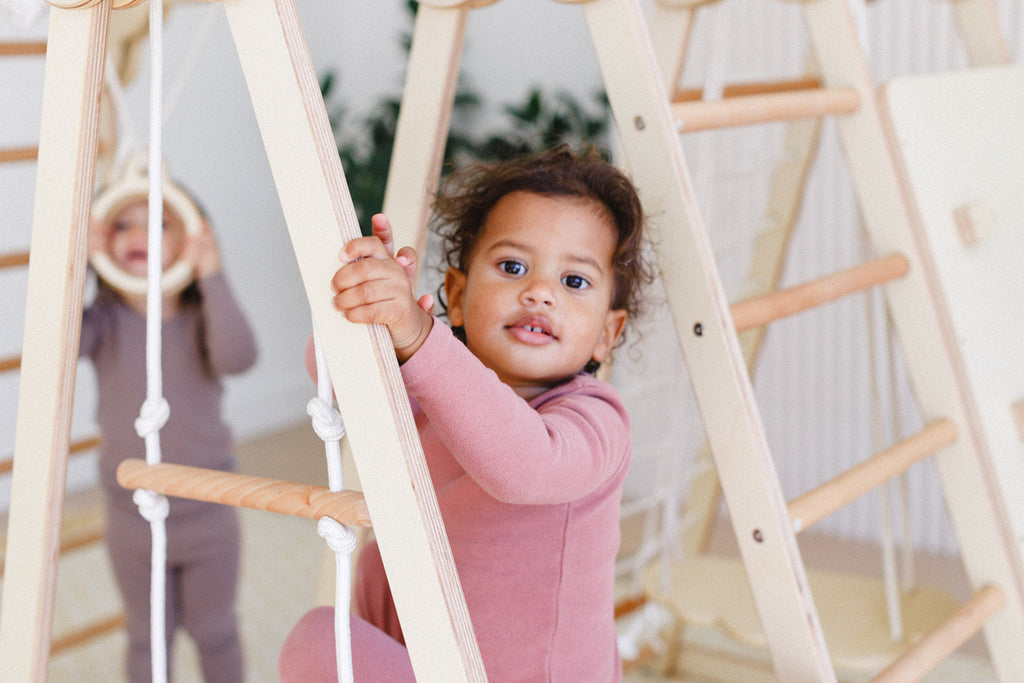 Top 7 Things to Know Before Buying an Indoor Play Gym